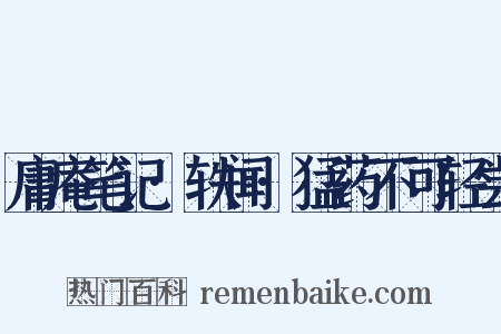 庸庵笔记·轶闻·猛药不可轻尝是什么意思的图片